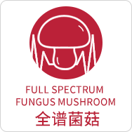 全谱菌菇