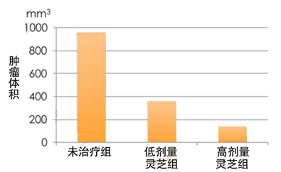 卵巢癌复发转移吃灵芝，有助稳定病情不恶化